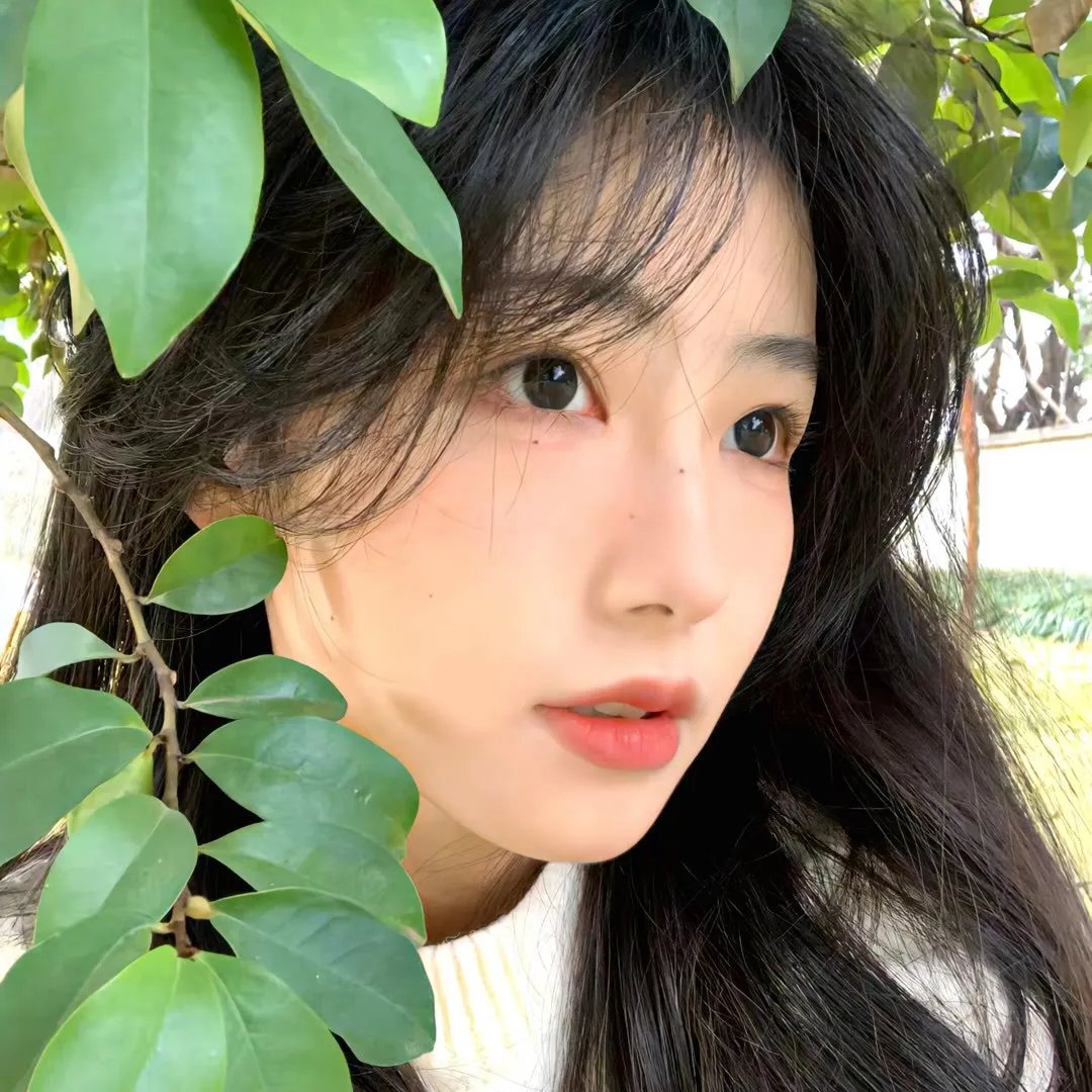古老的庭院